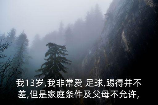 小孩的足球夢(mèng)想 為中國(guó)足球
