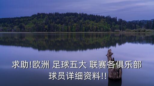 五大聯(lián)賽足球球員數(shù)據(jù)統(tǒng)計,足球五大聯(lián)賽球員本賽季排名