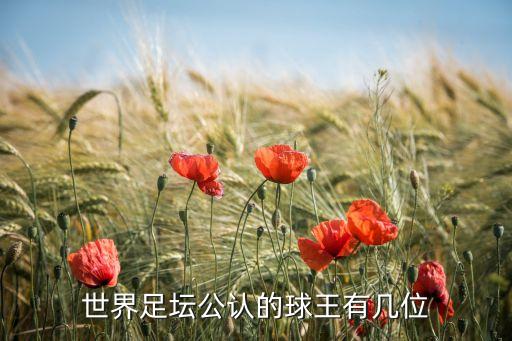 天下足球十五人排序