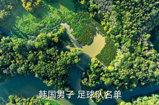 韓國足球長的很高的是誰