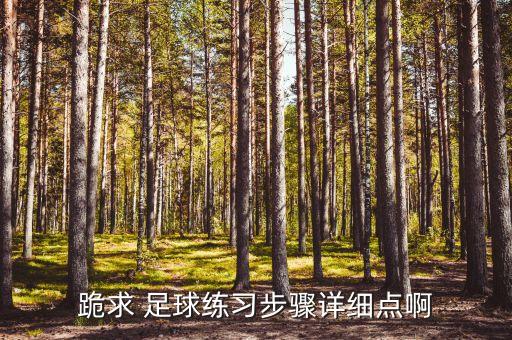 足球傳接技術,足球短傳的技術訓練