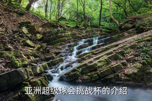 亞洲超級球會(huì)挑戰(zhàn)杯的介紹
