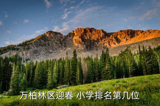 萬(wàn)柏林區(qū)迎春 小學(xué)排名第幾位