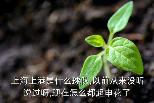  上海上港是什么球隊(duì),以前從來(lái)沒(méi)聽說(shuō)過(guò)呀,現(xiàn)在怎么都超申花了