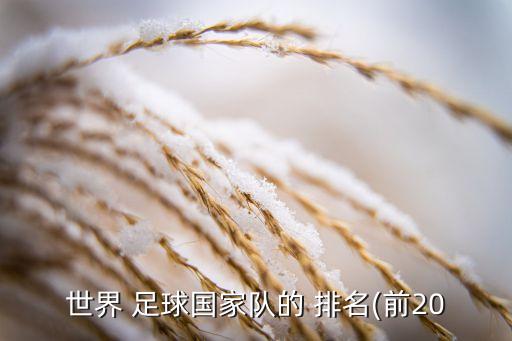 世界 足球國家隊的 排名(前20