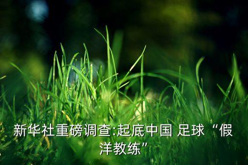 上海足球青訓(xùn)市場(chǎng),上海上港足球青訓(xùn)基地怎么樣