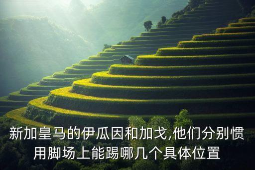 新加皇馬的伊瓜因和加戈,他們分別慣用腳場上能踢哪幾個(gè)具體位置