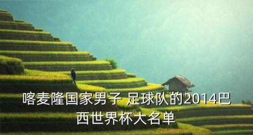 喀麥隆國家男子 足球隊(duì)的2014巴西世界杯大名單
