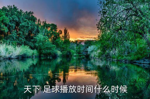 11月26日晚天下足球