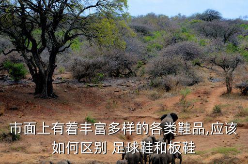 市面上有著豐富多樣的各類(lèi)鞋品,應(yīng)該如何區(qū)別 足球鞋和板鞋