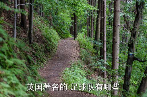 英國著名的 足球隊有哪些