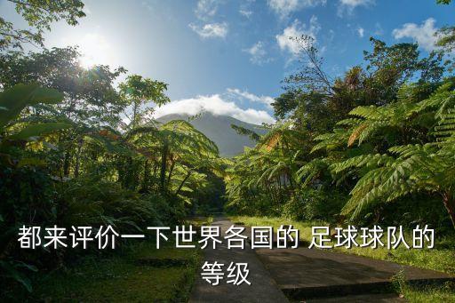 都來評價(jià)一下世界各國的 足球球隊(duì)的等級