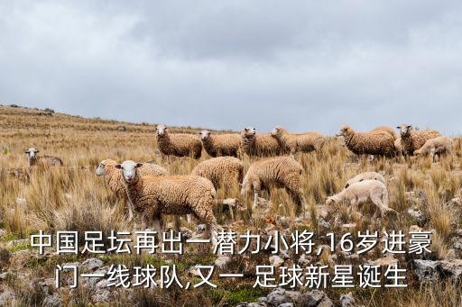 恒大足球青訓名單,廣州恒大足球青訓基地