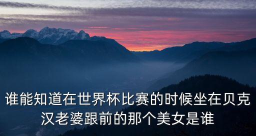 誰(shuí)能知道在世界杯比賽的時(shí)候坐在貝克漢老婆跟前的那個(gè)美女是誰(shuí)