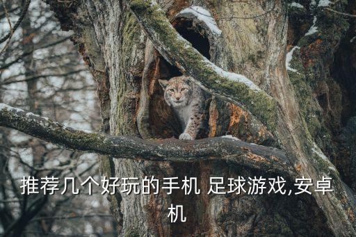 推薦幾個好玩的手機(jī) 足球游戲,安卓機(jī)