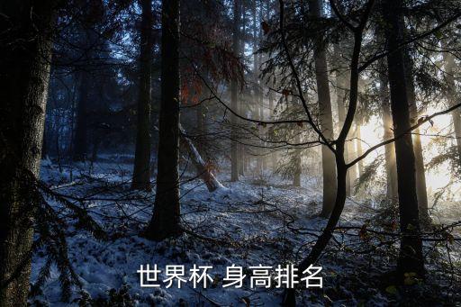 身高最高的足球運動員,足球運動員平均身高