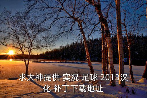 求大神提供 實況 足球 2013漢化 補丁下載地址