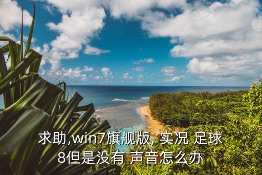 實況足球2013沒聲音,ipad實況足球沒有聲音