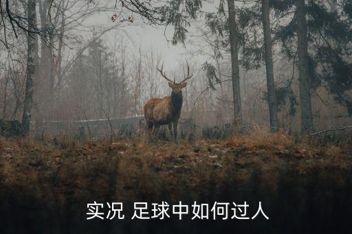  實況 足球中如何過人