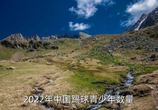 2022年中國(guó)踢球青少年數(shù)量