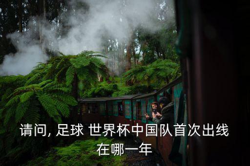 請問, 足球 世界杯中國隊(duì)首次出線在哪一年