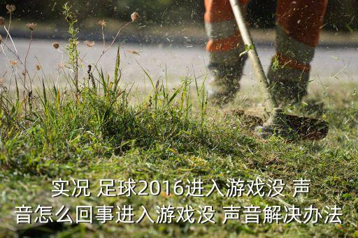  實(shí)況 足球2016進(jìn)入游戲沒 聲音怎么回事進(jìn)入游戲沒 聲音解決辦法