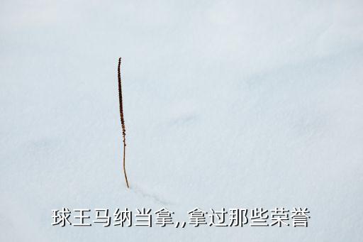 球王馬納當(dāng)拿,,拿過那些榮譽(yù)