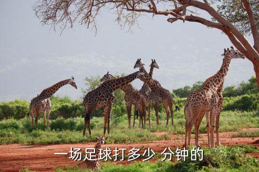 一場足球打多少 分鐘的