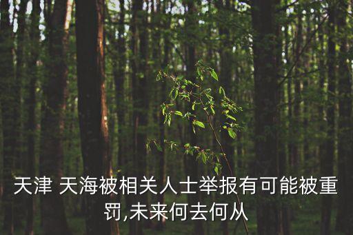 天津 天海被相關(guān)人士舉報(bào)有可能被重罰,未來(lái)何去何從