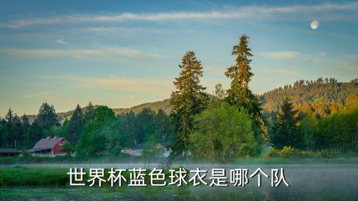 世界杯藍(lán)色球衣是哪個(gè)隊(duì)