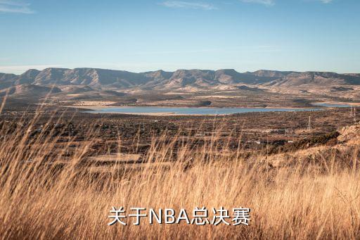 西雅圖vs波特蘭足球比賽