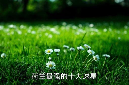荷蘭最強的十大球星