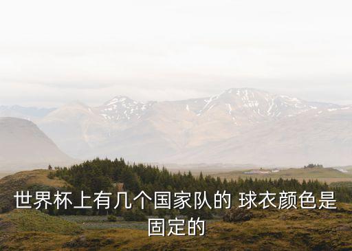 世界杯上有幾個國家隊的 球衣顏色是固定的
