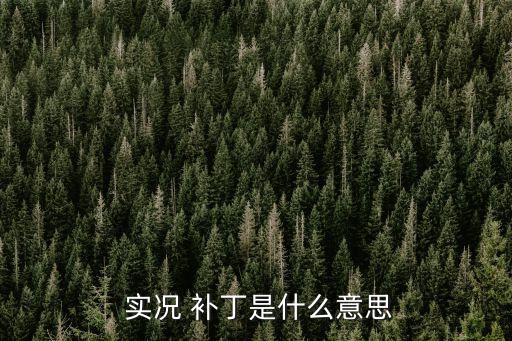  實(shí)況 補(bǔ)丁是什么意思