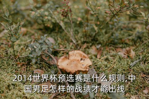 澳大利亞vs泰國(guó)足球,足球中國(guó)vs泰國(guó)1比5