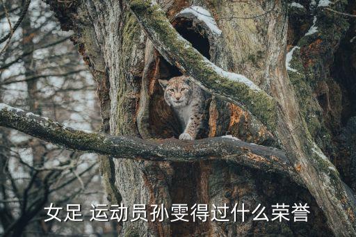 女足 運(yùn)動(dòng)員孫雯得過(guò)什么榮譽(yù)