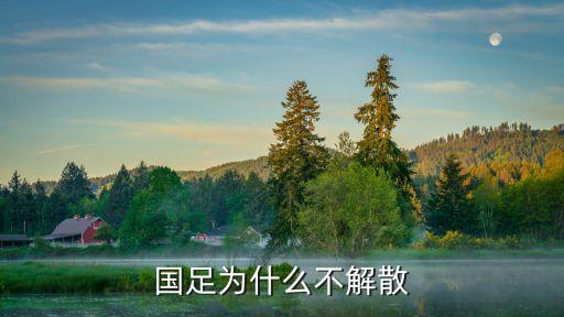 國(guó)足為什么不解散