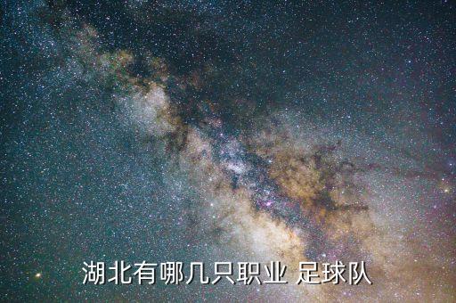 湖北有哪幾只職業(yè) 足球隊(duì)