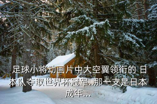  足球小將動畫片中大空翼領(lǐng)銜的 日本隊(duì)奪取世界杯冠軍..那一支是日本成年...