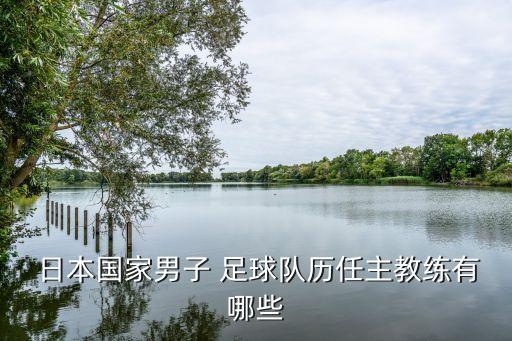 日本足球隊新帥,中國國家足球隊新帥
