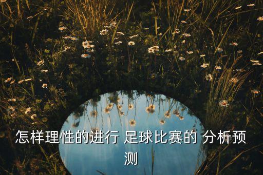 怎樣理性的進(jìn)行 足球比賽的 分析預(yù)測(cè)