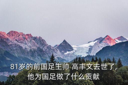 81歲的前國足主帥 高豐文去世了,他為國足做了什么貢獻