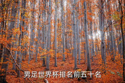 波蘭與智利足球友誼賽