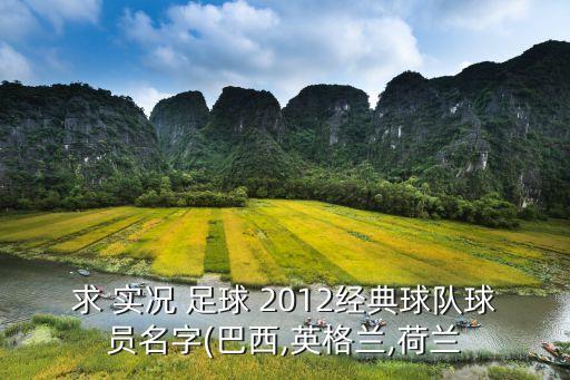 求 實(shí)況 足球 2012經(jīng)典球隊(duì)球員名字(巴西,英格蘭,荷蘭