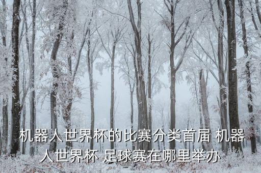 身高吧專業(yè)機(jī)器足球