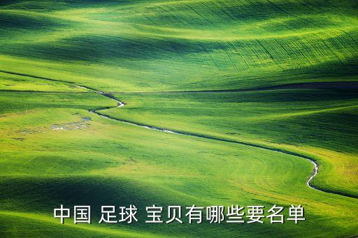 中國(guó) 足球 寶貝有哪些要名單