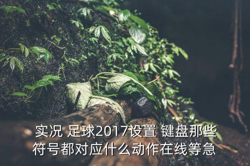  實(shí)況 足球2017設(shè)置 鍵盤那些符號(hào)都對(duì)應(yīng)什么動(dòng)作在線等急