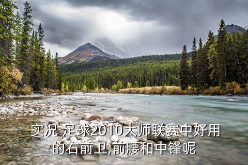  實況 足球2010大師聯賽中好用的右前衛(wèi),前腰和中鋒呢