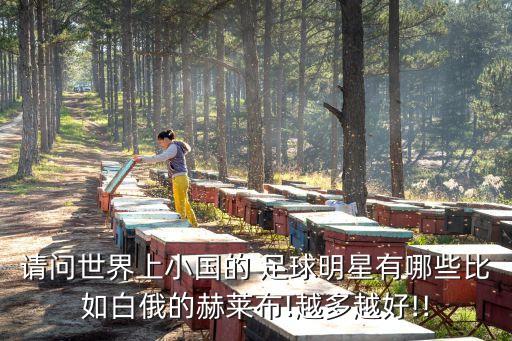 請問世界上小國的 足球明星有哪些比如白俄的赫萊布!越多越好!!