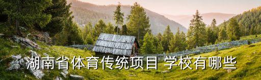  湖南省體育傳統(tǒng)項目 學校有哪些